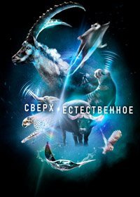 Постер к Сверх/Естественное (1 сезон)